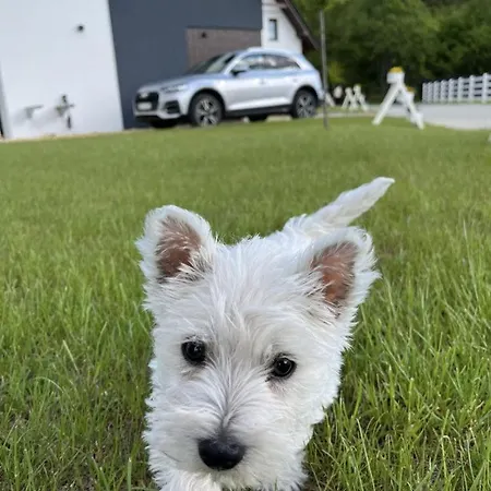 Alpstuga Nad Lasem - W Gorach Toporzysko (Sucha)