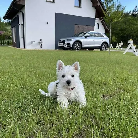Alpstuga Nad Lasem - W Gorach *