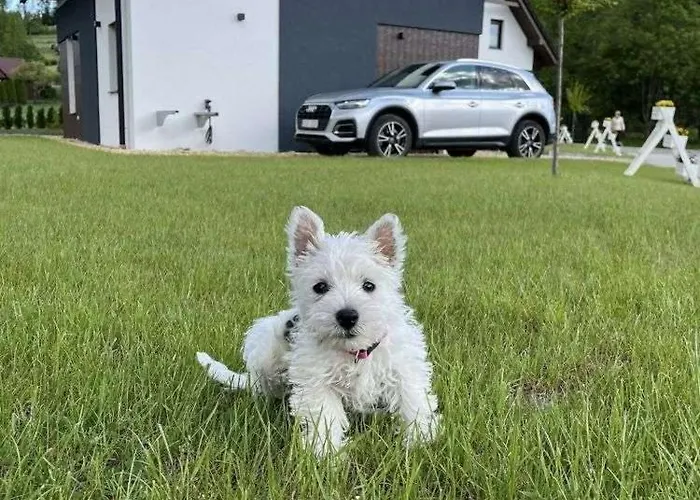 شاليه Nad Lasem - W Gorach *